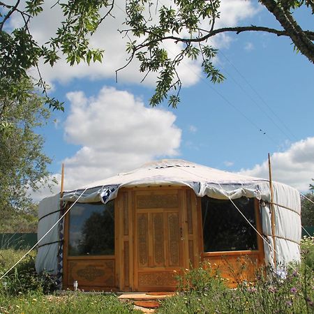 Tiny House Eco Resort Estevais Exterior foto